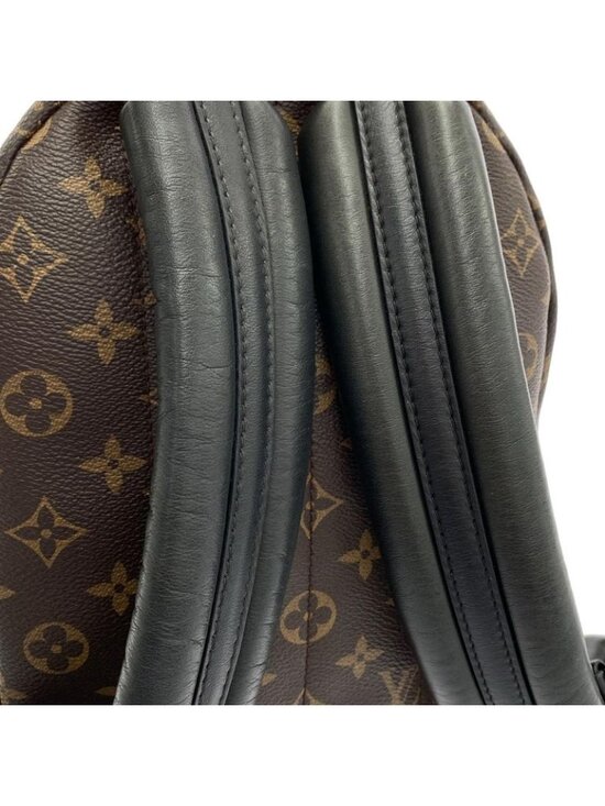 Louis Vuitton Monogram Palm Spring Backpack PM Sac main image 4